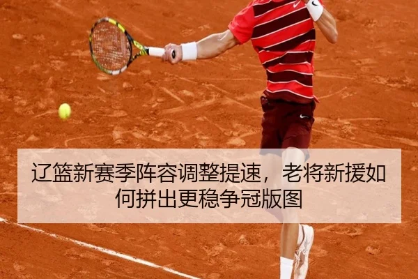 辽篮新赛季阵容调整提速，老将新援如何拼出更稳争冠版图 | ngyule